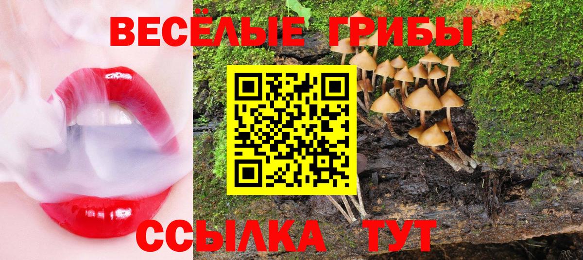 Псилоцибиновые грибы Psilocybe  Вход с VPN  Ревда 